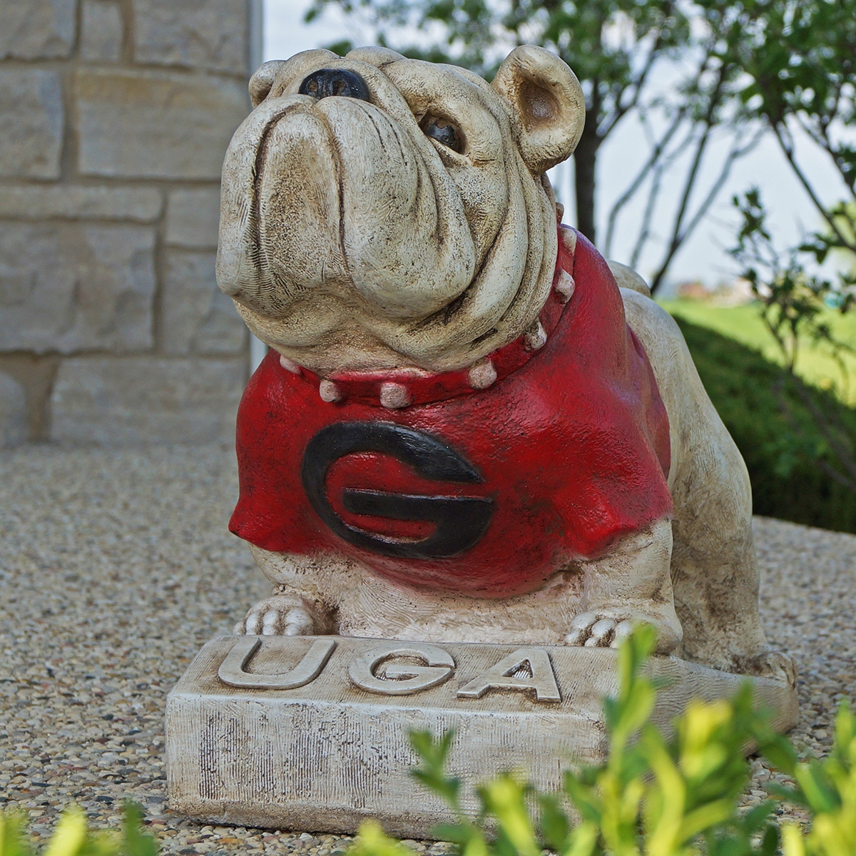 University of Georgia UGA Statue