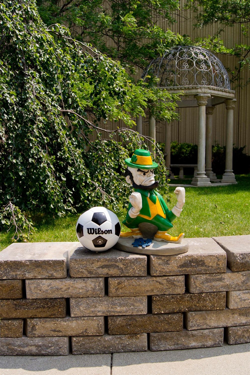 University of Notre  Dame  Leprechaun  statue